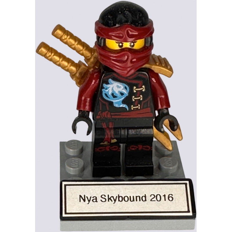 NYA Skybound 2016