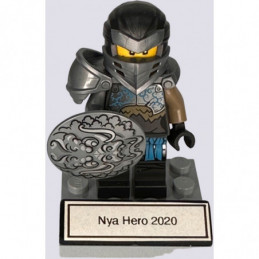 NYA Hero 2020