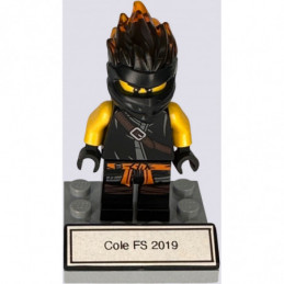 Cole FS 2019