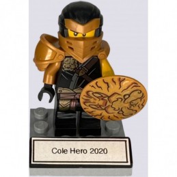 Cole Hero 2020