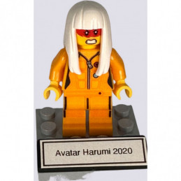 Avatar Karumi