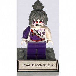 Pixal Rebooted 2014