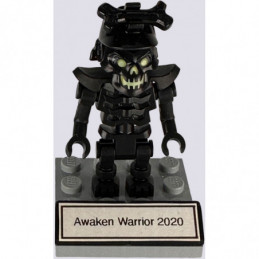 Awaken Warrior 2020