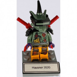 Hausner 2020