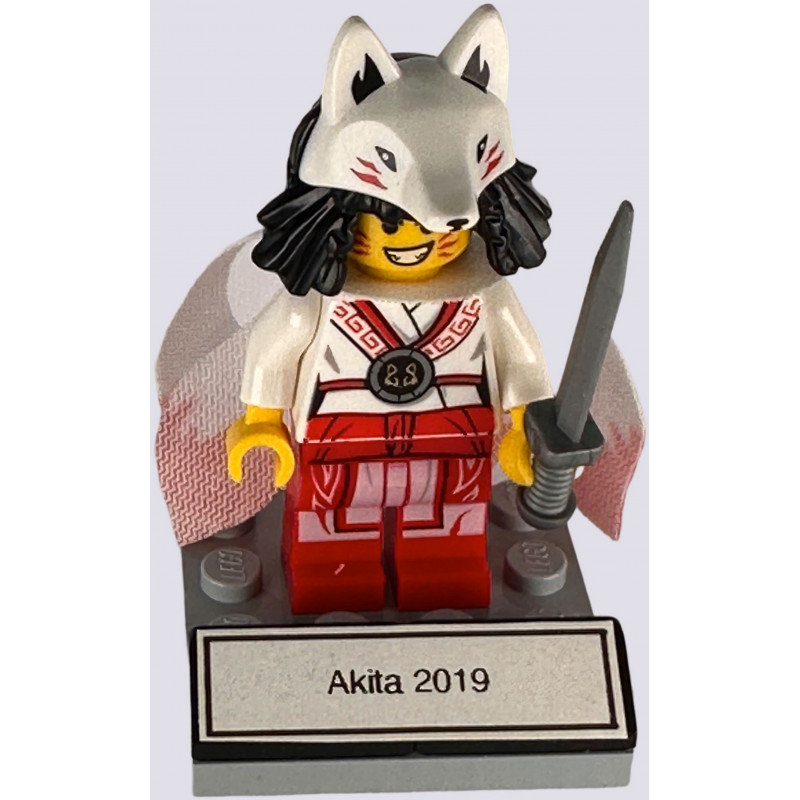Akita 2019