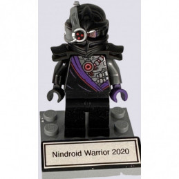 Nindroid Warrior 2020