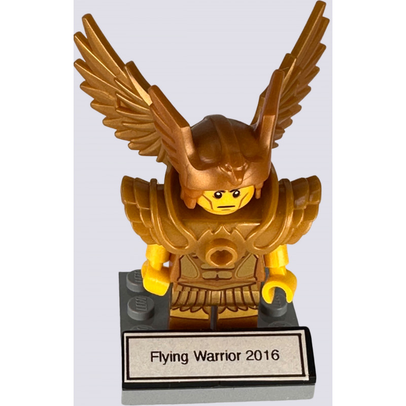 Flying Warrior 2016