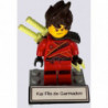 Kai Fils de Garmadon