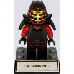 Kai Kendo 2017