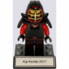 Kai Kendo 2017