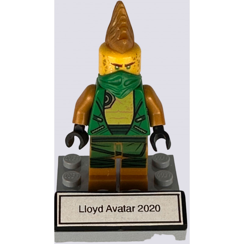 Lloyd Avatar 2020