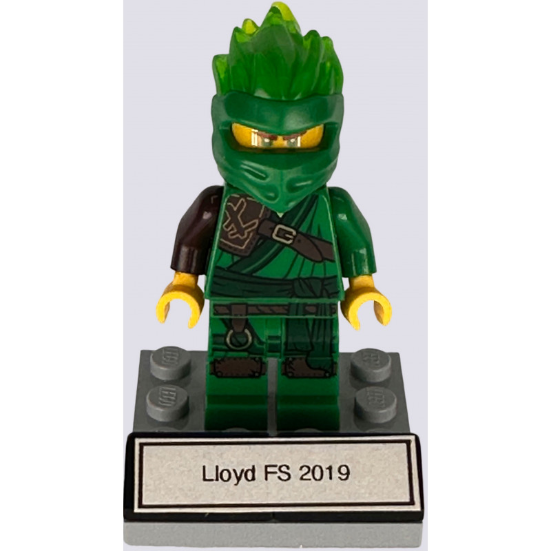 Lloyd FS 2019