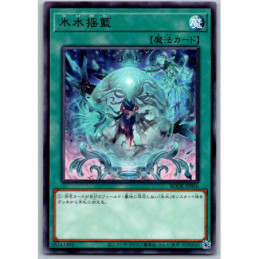 YuGiOh - BODE-JP056 -...