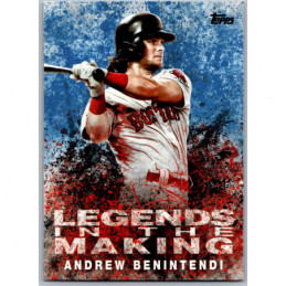 ANDREW BENINTENDI LTM-AB