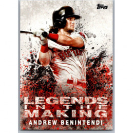 ANDREW BENINTENDI LTM-AB