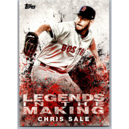 CHRIS SALE LTM-CS