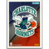 CHARLOTTE HORNETS 240