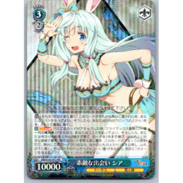 Weiss Schwarz - ARI