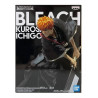 Bleach soul entered model 1 kurosaki ichigo