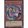 QCDB-JP008 - Dark ,Magician Girl- Quarter Century Duelist Box - Secret Rare Version Jap