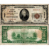 20 Dollars National Bank - LACKAWANNA - New York - Serie 1929 - E000646A