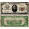 20 Dollars National Bank - CAMBRIDGE - Minnesota - Serie 1929 - F000066A